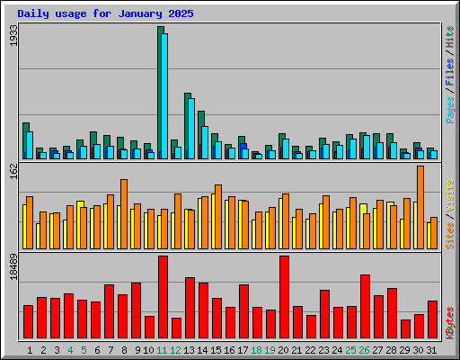 Daily usage for January 2025