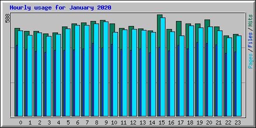 Hourly usage for January 2020