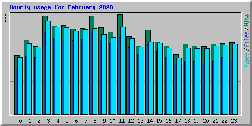 Hourly usage for February 2020