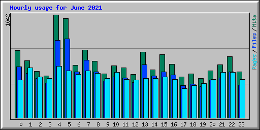 Hourly usage for June 2021