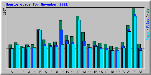 Hourly usage for November 2021