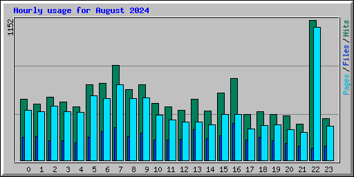 Hourly usage for August 2024