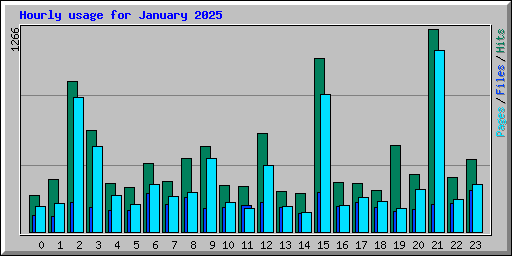 Hourly usage for January 2025