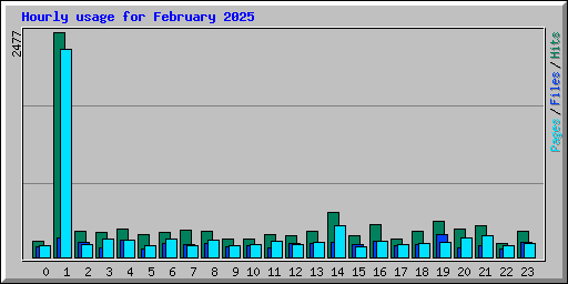 Hourly usage for February 2025