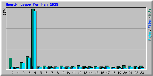 Hourly usage for May 2025