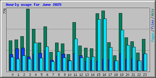 Hourly usage for June 2025