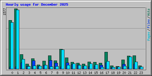 Hourly usage for December 2025